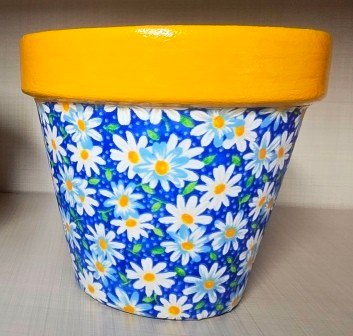 Peacock Desiign Studio